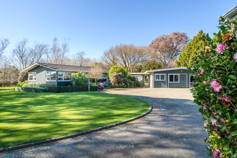 Photo of property in 36 Arnott Street, Feilding, 4702