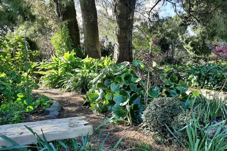 Photo of property in 33 Bridge Street, Opotiki, 3122