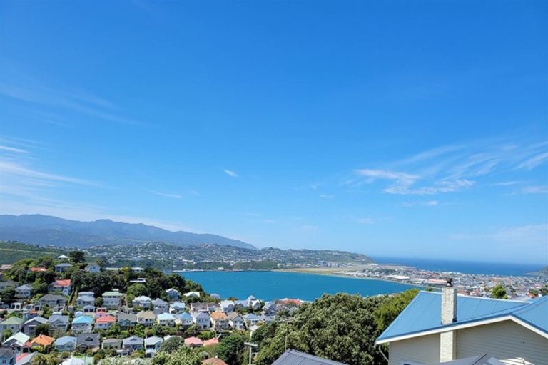 Photo of property in 46 Rakau Road, Hataitai, Wellington, 6021