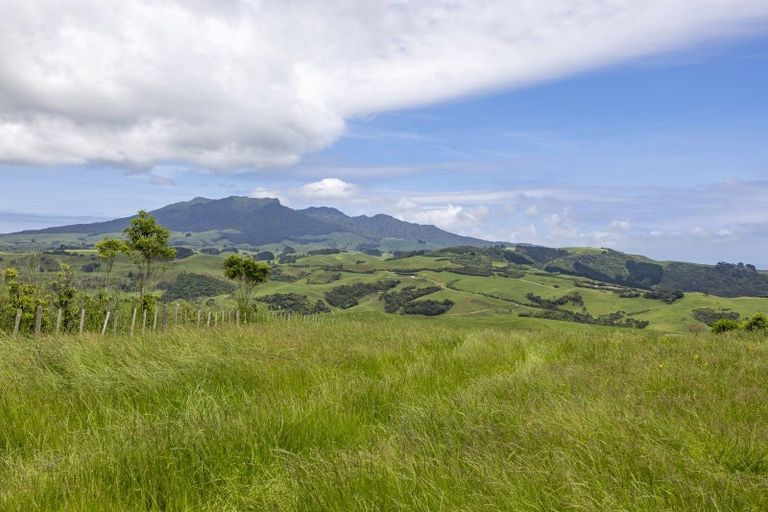 Photo of property in 132 Maungatawhiri Road, Raglan, 3295