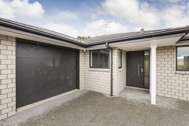 Photo of property in 17 Winchester Street, Levin, 5510
