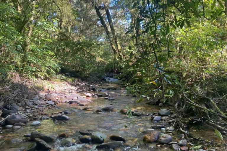 Photo of property in 774 Atarau Road, Atarau, Blackball, 7871