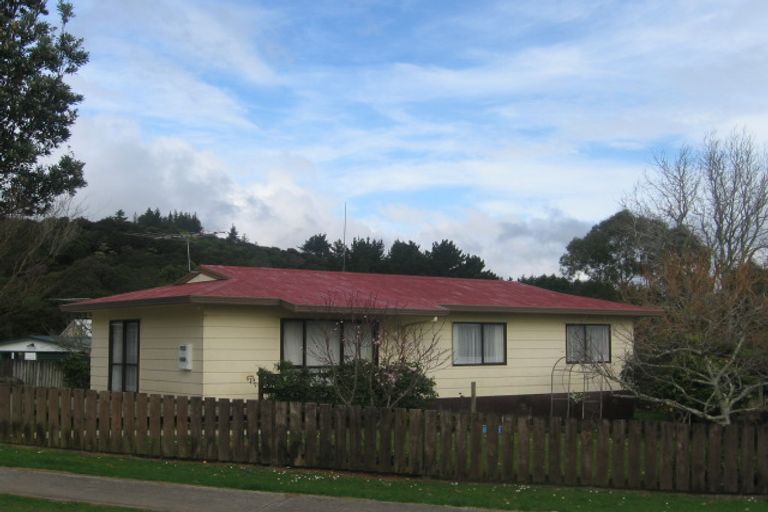 Photo of property in 200 Buffalo Road, Coromandel, 3506