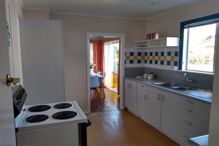 Photo of property in 156 Tiro Tiro Road, Levin, 5510