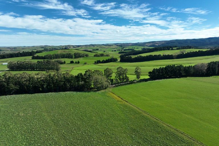 Photo of property in 1446a Clydevale Road, Clydevale, 9274