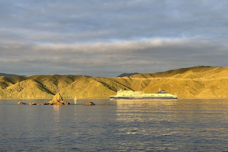 Photo of property in 29 Boardwalk Lane, Seatoun, Wellington, 6022