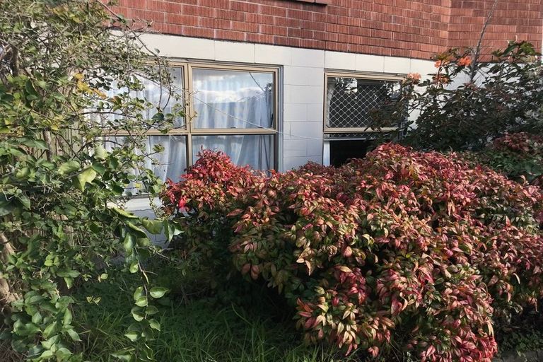 Photo of property in 3 Sunset Road, Totara Vale, Auckland, 0632