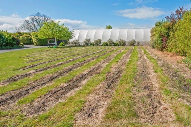 Photo of property in 14 Anson Street, Kirwee, Darfield, 7571