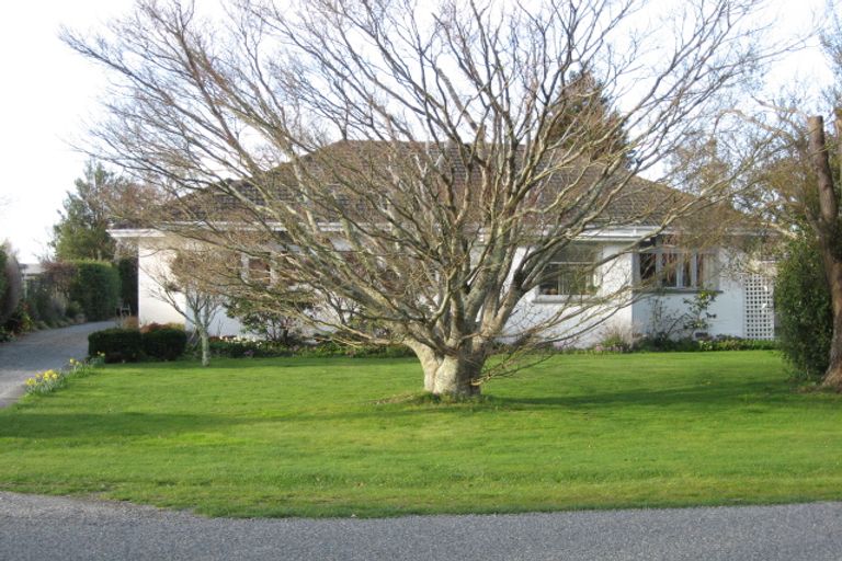 Photo of property in 29 Jellicoe Street, Greytown, 5712