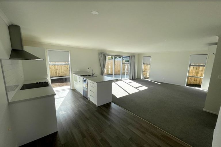 Photo of property in 11u4 Miro Street, Maeroa, Hamilton, 3200