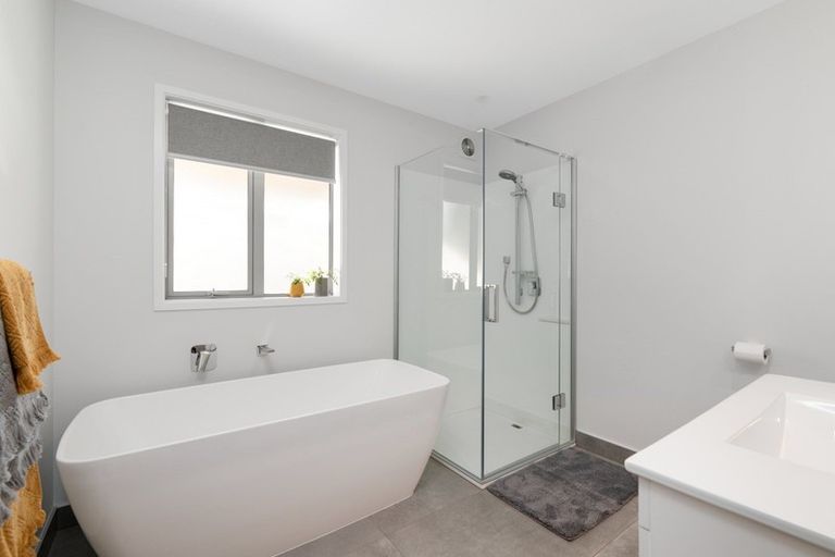 Photo of property in 55 Campbell Road, Mount Maunganui, 3116