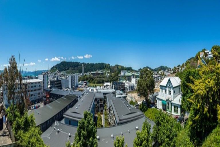 Photo of property in 25c Thompson Street, Mount Cook, Wellington, 6011