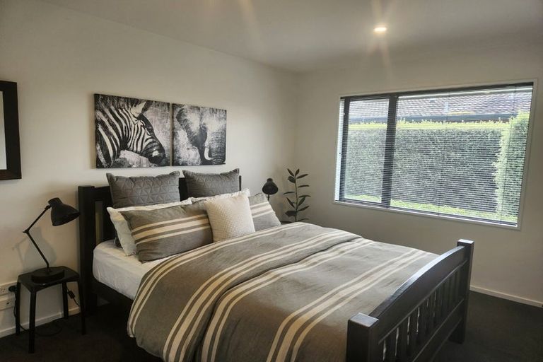 Photo of property in 161 Petrie Street, Richmond, Christchurch, 8013