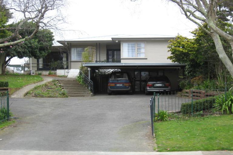 Photo of property in 12 Graham Street, Levin, 5510