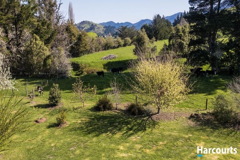 Photo of property in 1742 Motueka River West Bank Road, Motueka Valley, Motueka, 7196