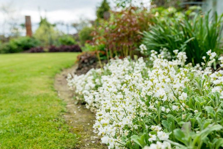 Photo of property in 17 Glenbrook Drive, Mosgiel, 9024