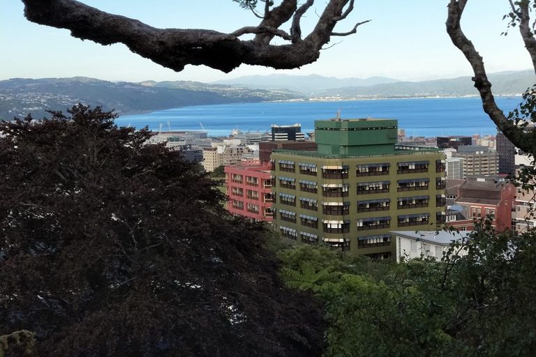 Photo of property in 19 Central Terrace, Kelburn, Wellington, 6012