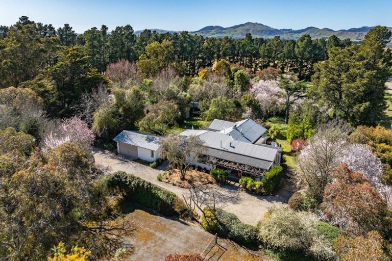 Photo of property in 328 Purchas Road, Glasnevin, Amberley, 7482