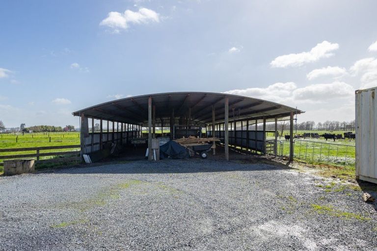 Photo of property in 284 Shewan Road, Gordonton, Hamilton, 3281