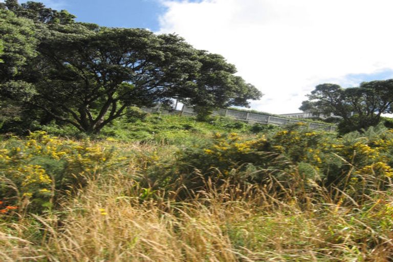 Photo of property in 26 Treasure Grove, Hataitai, Wellington, 6021