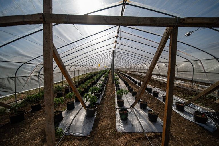 Photo of property in 389 Waiuku Road, Puni, Pukekohe, 2678