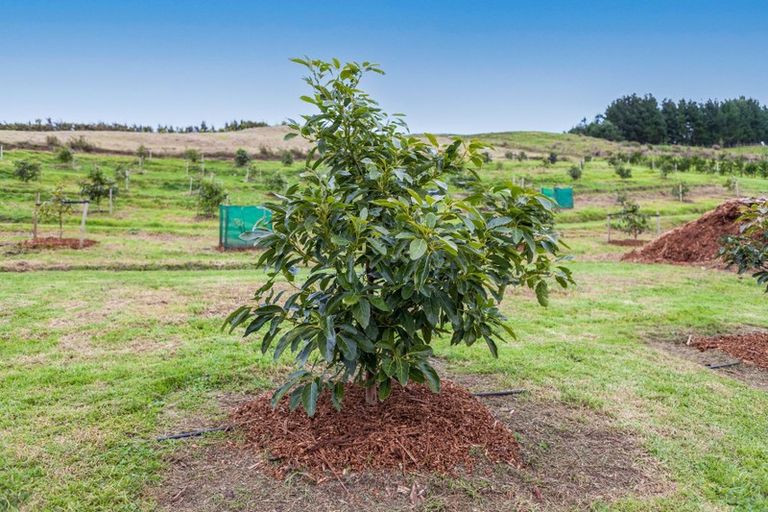 Photo of property in 54d Chard Road, Aongatete, Katikati, 3178