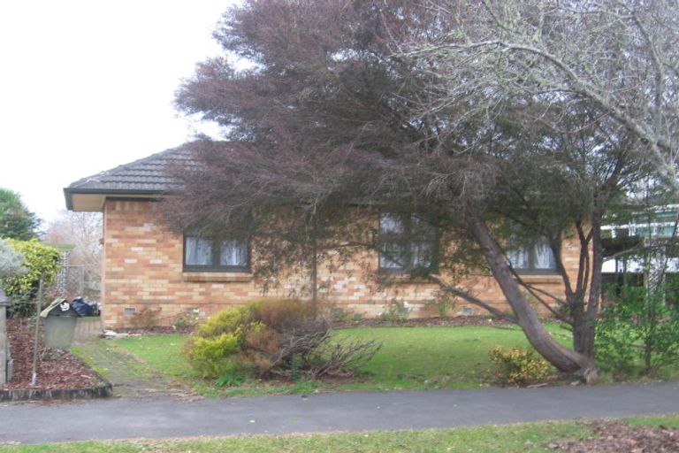 Photo of property in 20 Chartwell Crescent, Chartwell, Hamilton, 3210