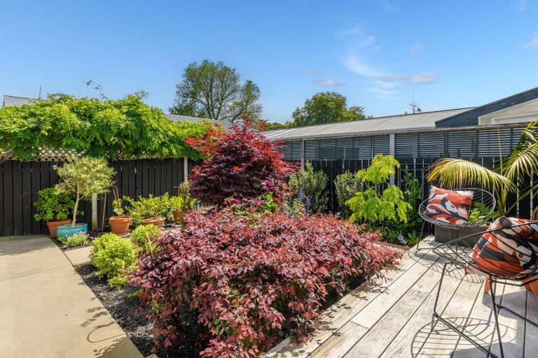 Photo of property in 11b Arundel Street, Tauranga, 3110