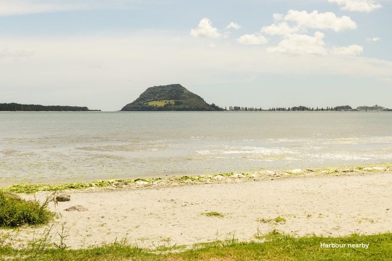 Photo of property in 178b Ngatai Road, Otumoetai, Tauranga, 3110