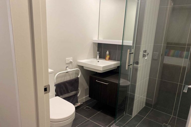 Photo of property in Vsp South, 601/166u Victoria Street, Te Aro, Wellington, 6011