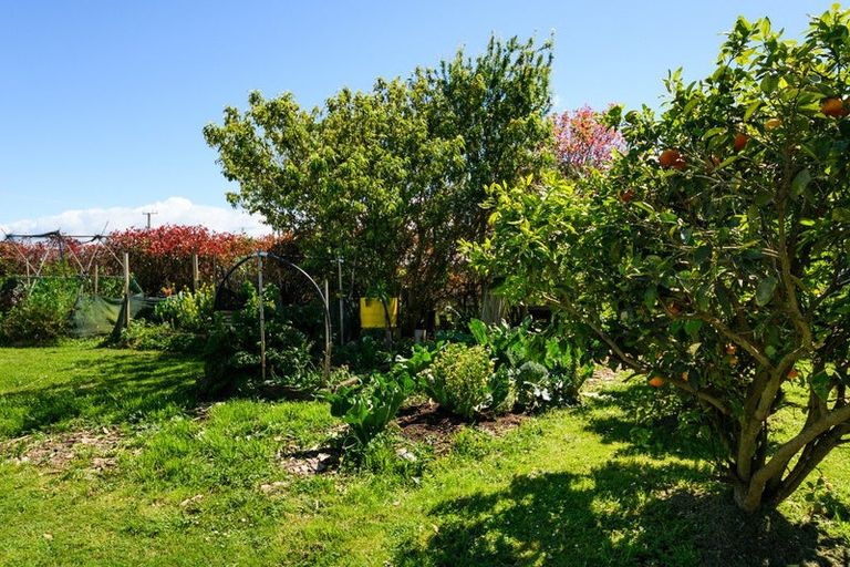Photo of property in 991 Parewanui Road, Parewanui, Bulls, 4894
