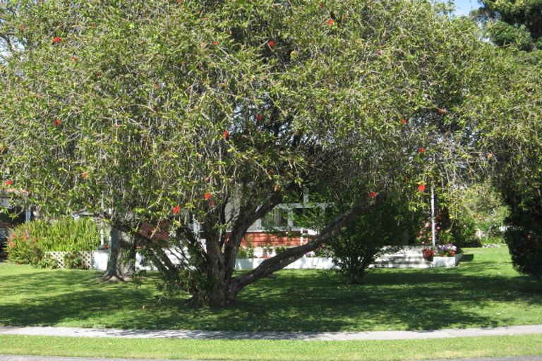 Photo of property in 56 Fergusson Drive, Te Hapara, Gisborne, 4010