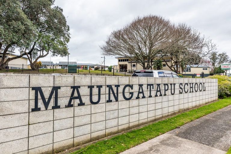 Photo of property in 141c Maungatapu Road, Maungatapu, Tauranga, 3112
