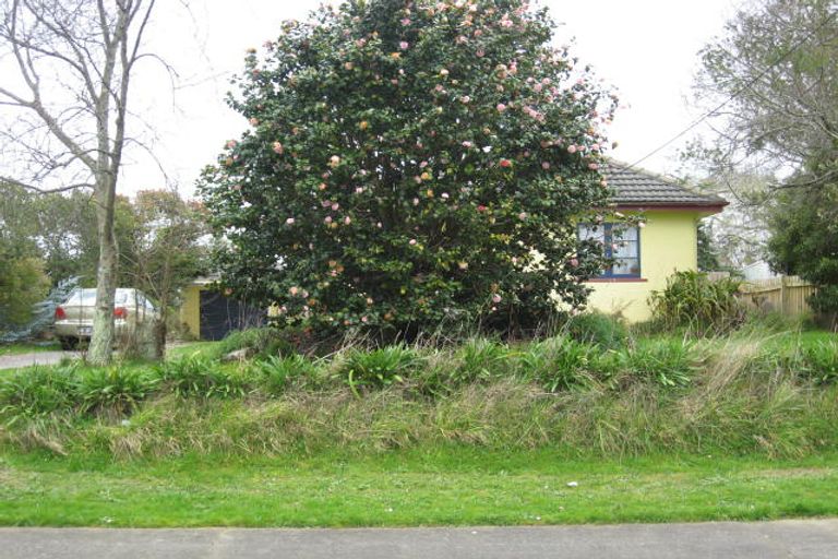 Photo of property in 24 Graham Street, Levin, 5510