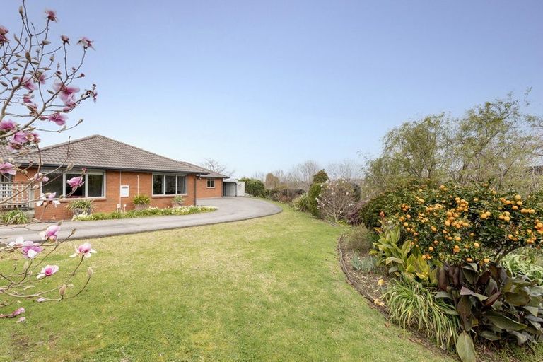 Photo of property in 5 Olive Close, Omokoroa, 3114