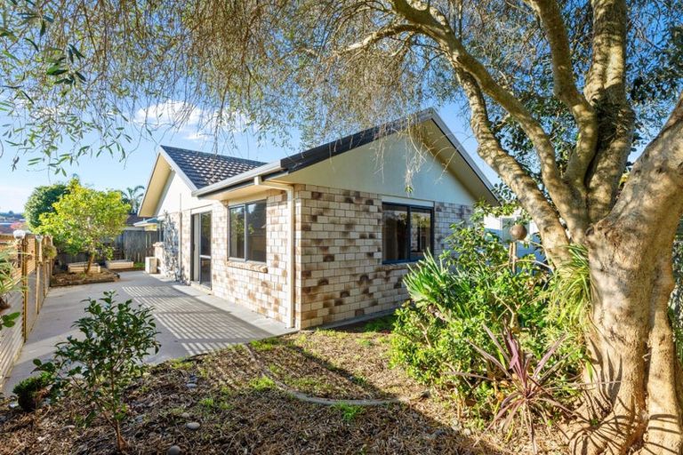 Photo of property in 109 Solomon Street, Brookfield, Tauranga, 3110