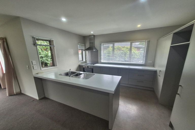 Photo of property in 1c Moule Street, Addington, Christchurch, 8024