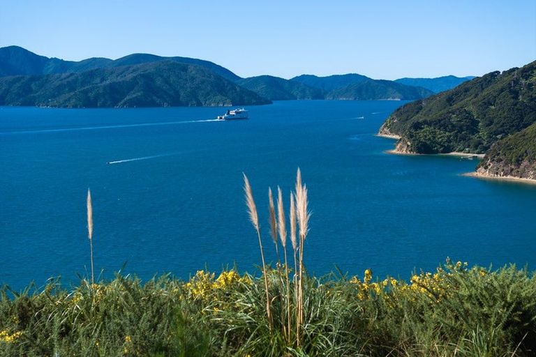 Photo of property in 318 Port Underwood Road, Whatamango Bay, Picton, 7281