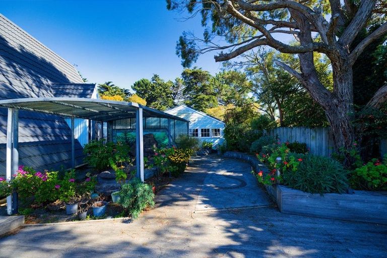 Photo of property in 7 Maui Street, Kaikoura, 7300