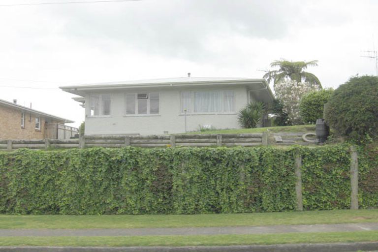 Photo of property in 115 Puniu Road, Te Awamutu, 3800