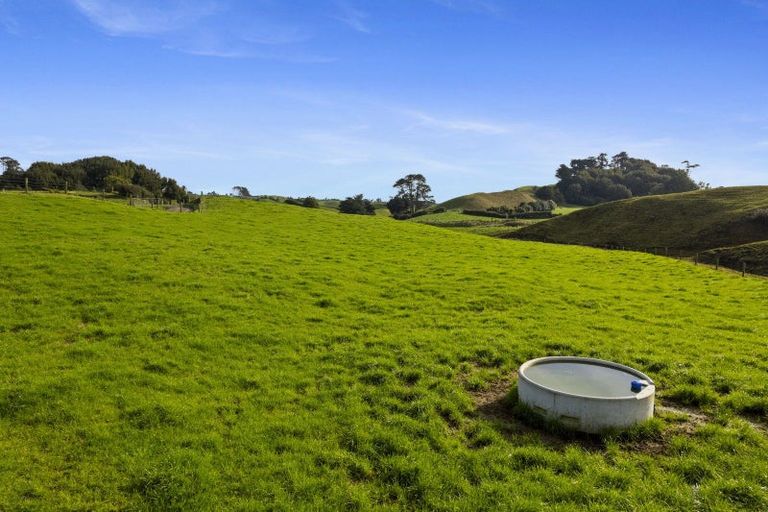 Photo of property in 1234 Richmond Road, Everett Park, Inglewood, 4389