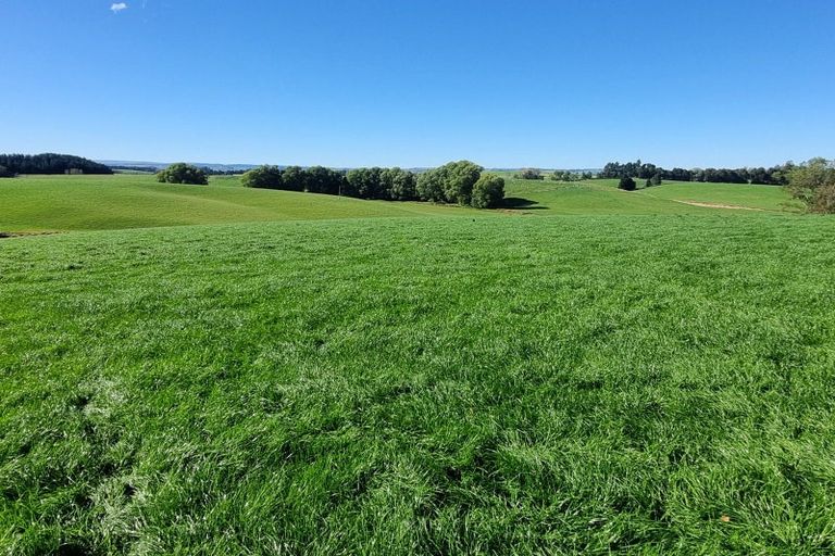 Photo of property in 1446a Clydevale Road, Clydevale, 9274