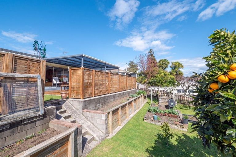 Photo of property in 16 King Street, Te Puke, 3119