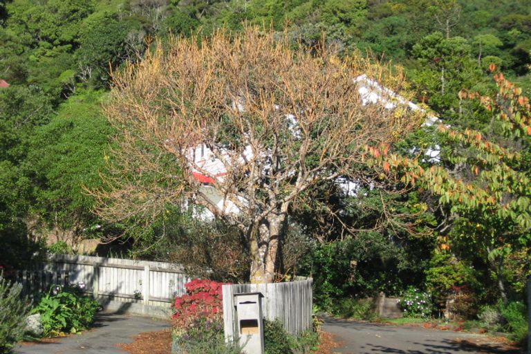 Photo of property in 8x Tawa Street, Eastbourne, Lower Hutt, 5013