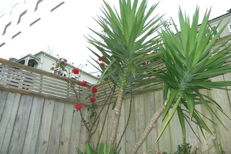 Photo of property in 80 Rolleston Street, Mount Cook, Wellington, 6021