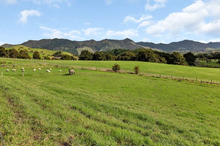 Photo of property in 1488 Kirikopuni Road, Tangiteroria, 0381