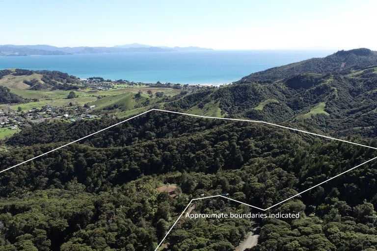 Photo of property in 109 Kawhina Lane, Kuaotunu, Whitianga, 3592