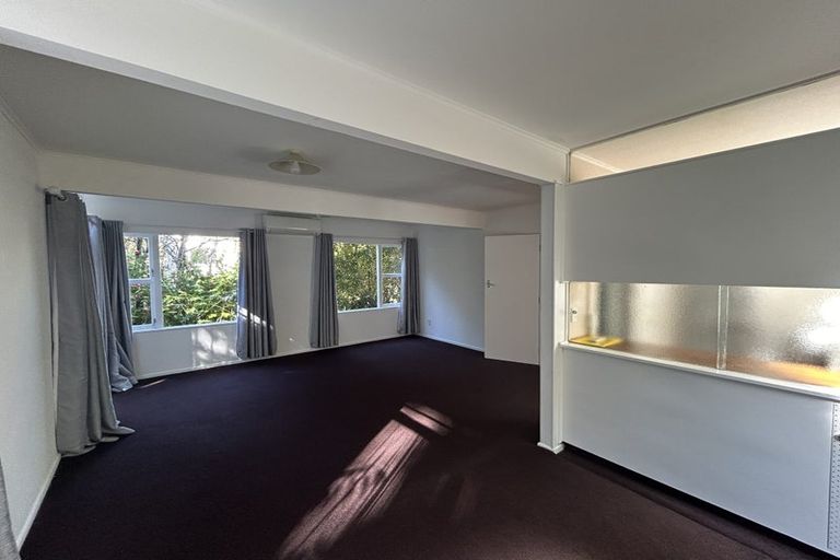 Photo of property in 47 Central Terrace, Kelburn, Wellington, 6012