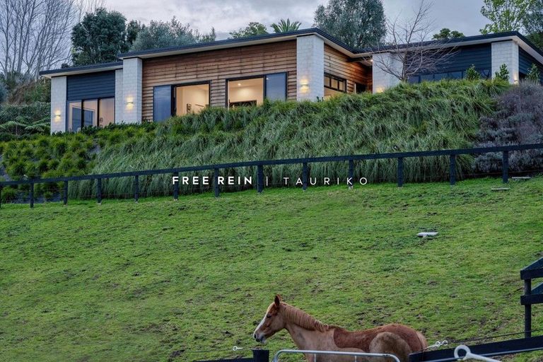 Photo of property in 56 Miles Lane, Tauriko, Tauranga, 3110