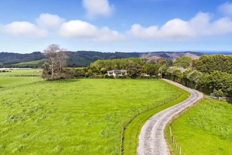 Photo of property in 74 Arapaepae Road, Levin, 5510
